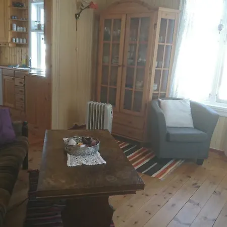 بيت للعطل Lillesaeter Steigen